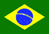 Brazilian Flag