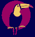 Toucan logo